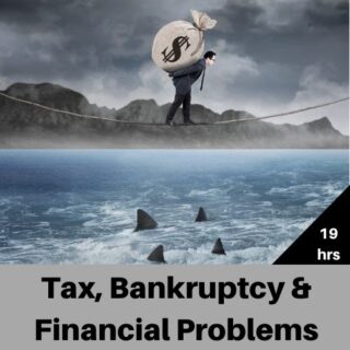 Tax, Bankruptcy, and Financial Problems (19 hrs)