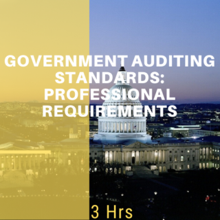 Government Auditing Standards: Professional Requirements