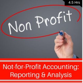 Non Profit Accounting and Reporting