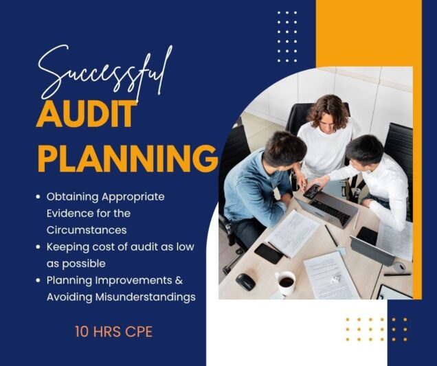 Successful Audit Planning 10 hr online CPE Course